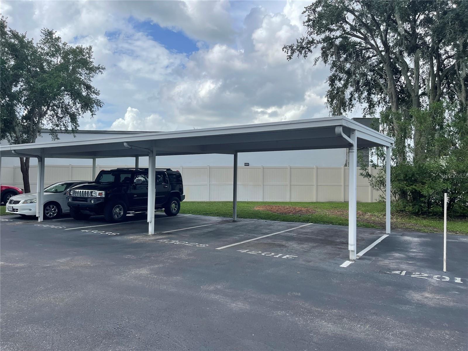 21146 FOUNTAIN VIEW LN #4302, LUTZ, FL, 33558