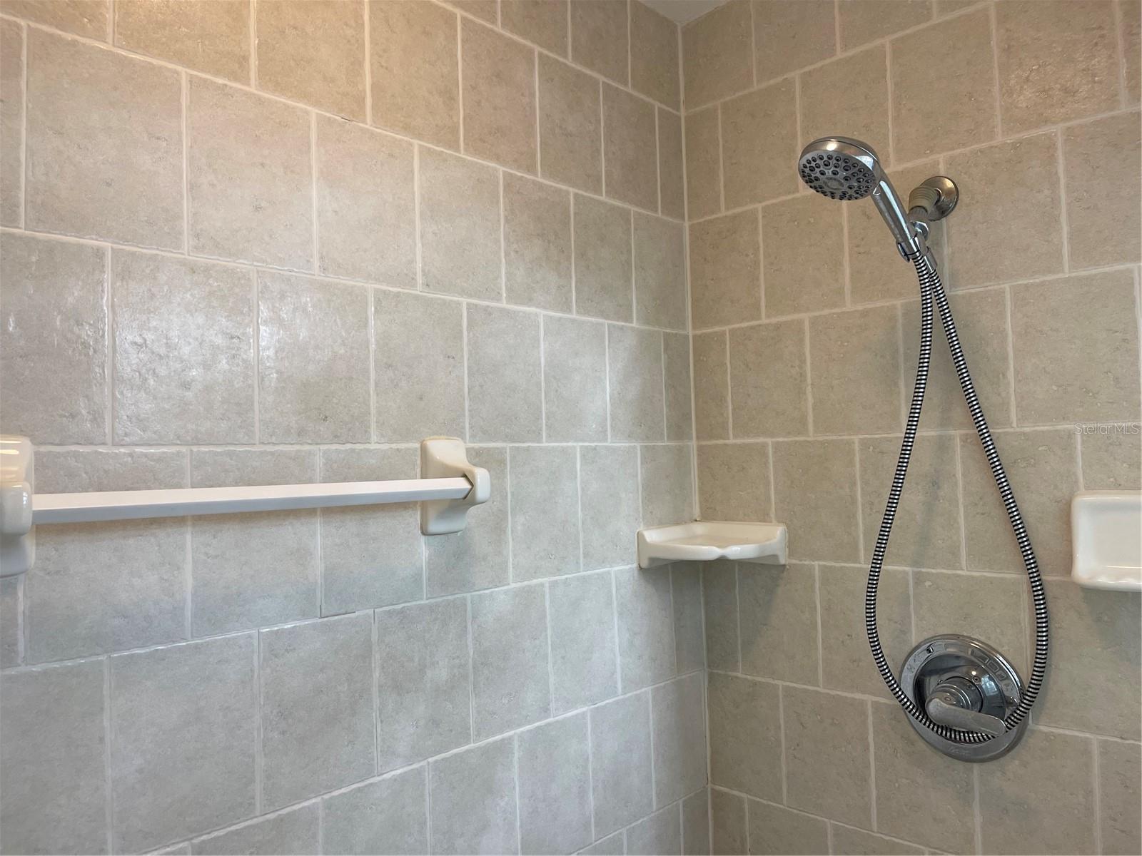 21146 FOUNTAIN VIEW LN #4302, LUTZ, FL, 33558