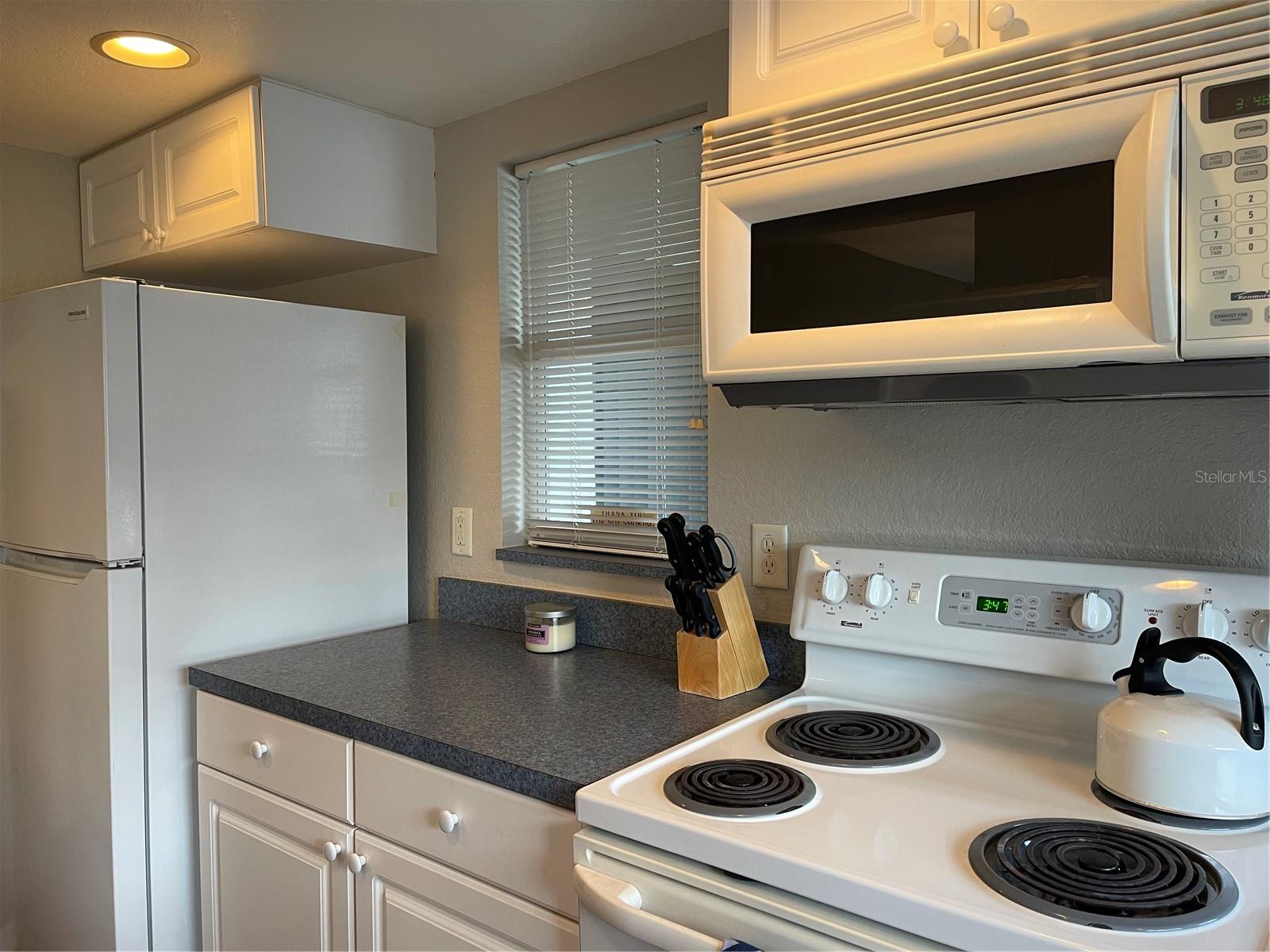 21146 FOUNTAIN VIEW LN #4302, LUTZ, FL, 33558