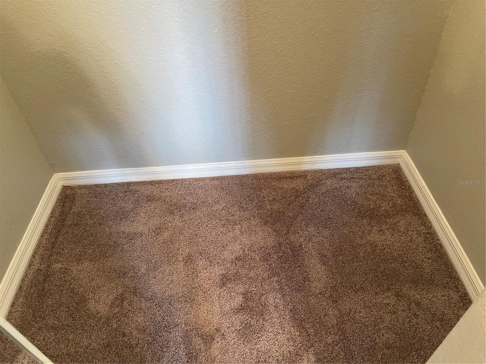 21146 FOUNTAIN VIEW LN #4302, LUTZ, FL, 33558