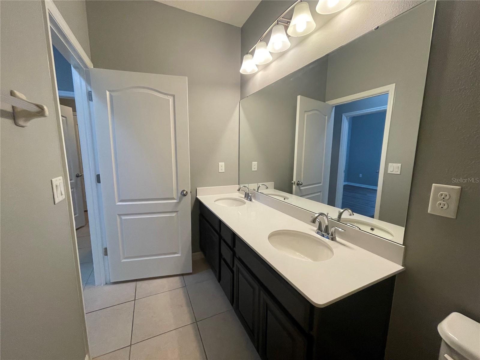 11406 LAKE LUCAYA DR, RIVERVIEW, FL, 33579