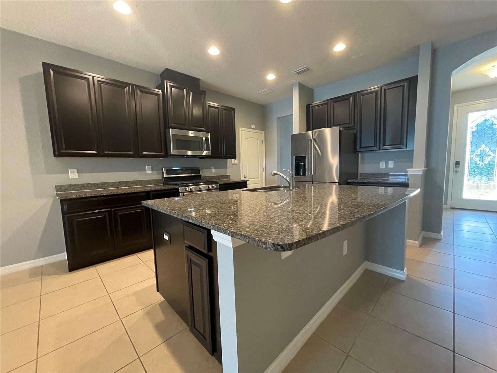 11406 LAKE LUCAYA DR, RIVERVIEW, FL, 33579