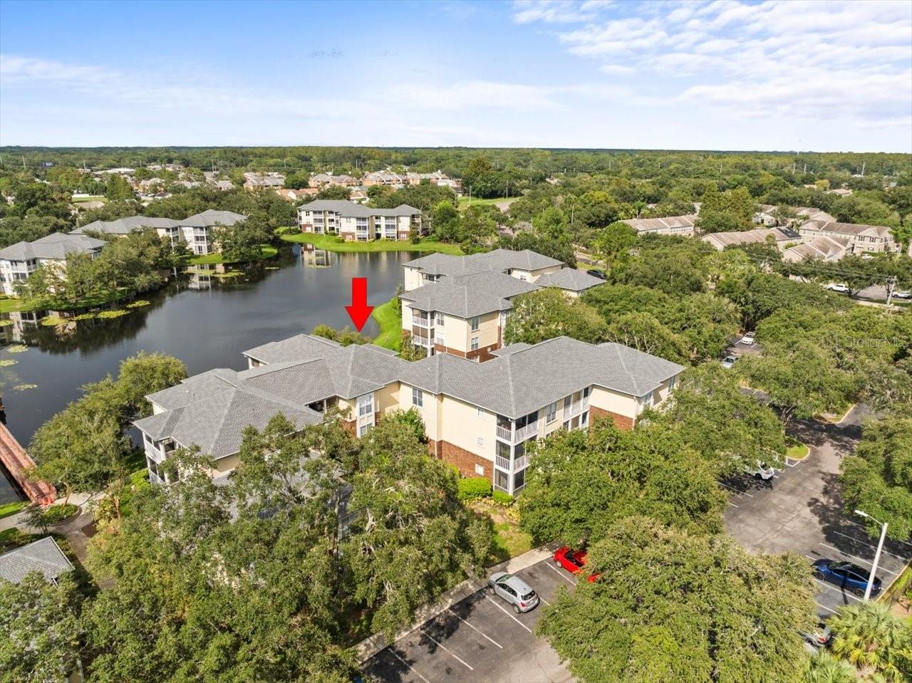 4115 CHATHAM OAK CT #222, TAMPA, FL, 33624