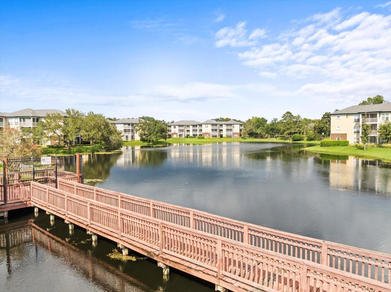 4115 CHATHAM OAK CT #222, TAMPA, FL, 33624