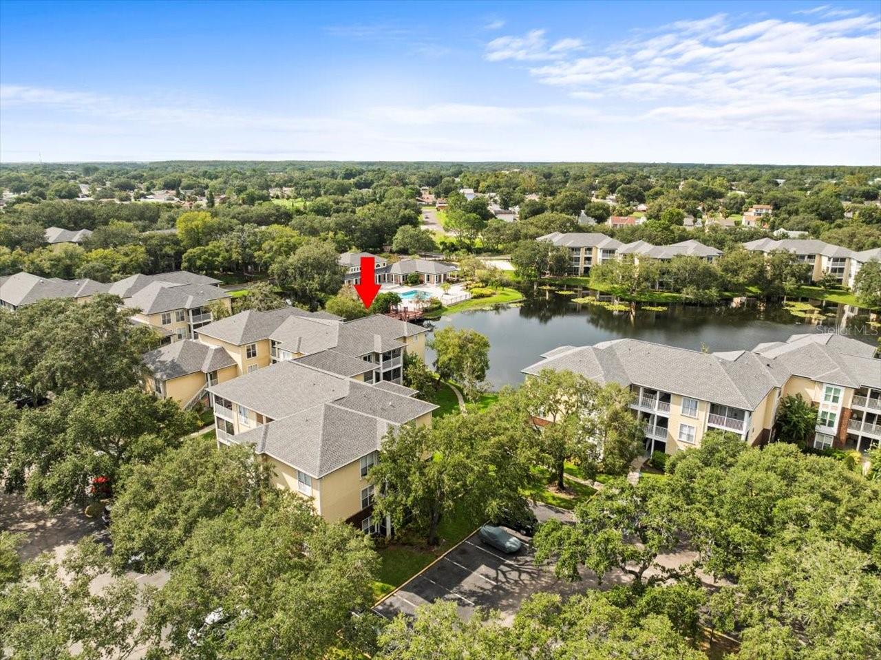 4115 CHATHAM OAK CT #222, TAMPA, FL, 33624