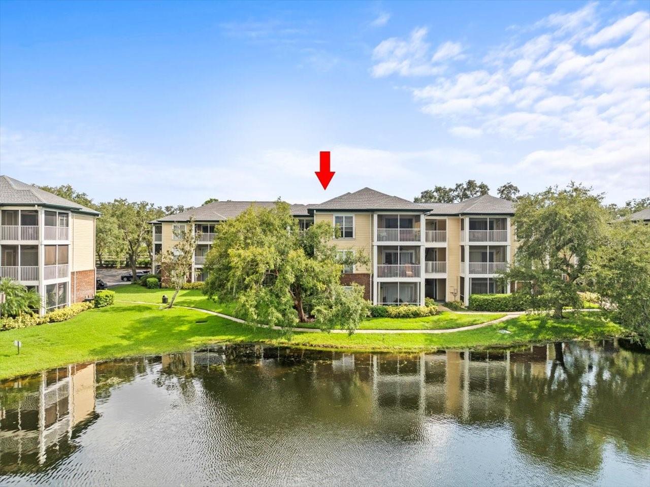 4115 CHATHAM OAK CT #222, TAMPA, FL, 33624