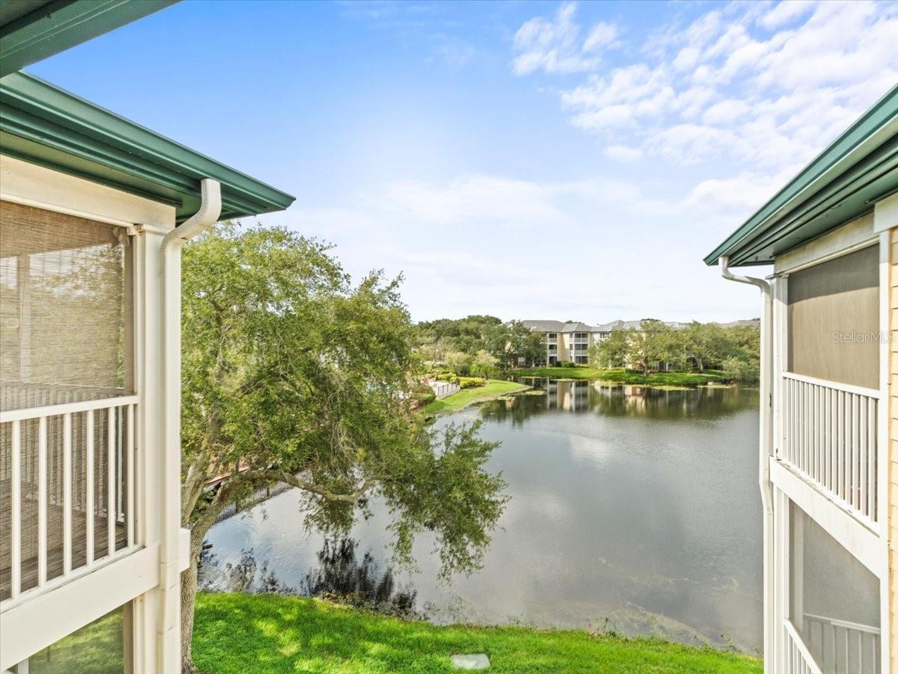 4115 CHATHAM OAK CT #222, TAMPA, FL, 33624