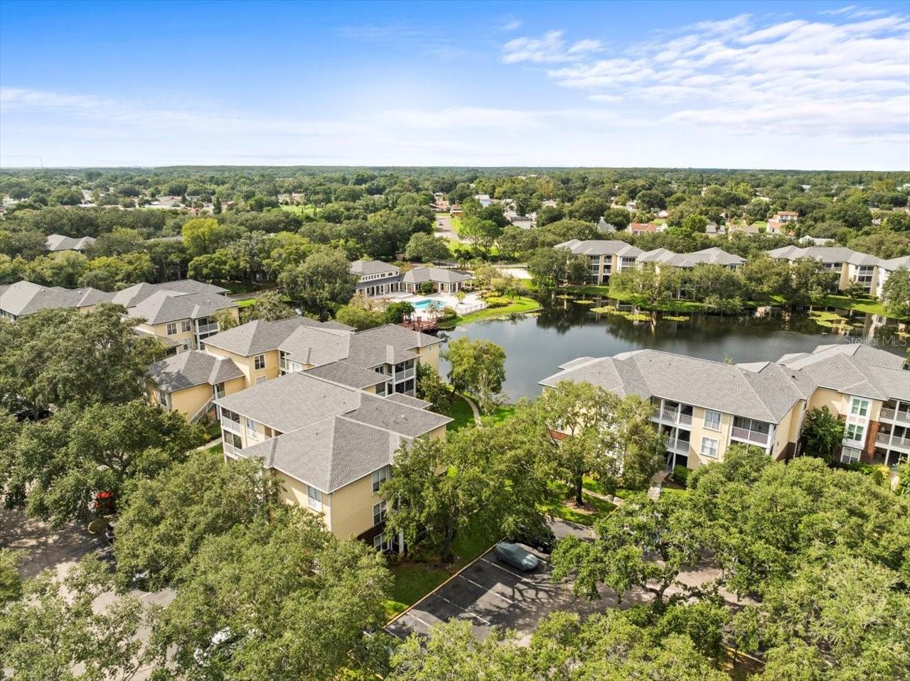 4115 CHATHAM OAK CT #222, TAMPA, FL, 33624