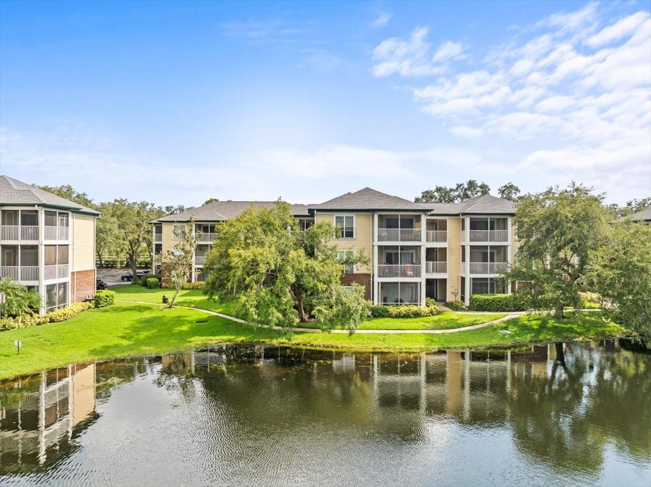 4115 CHATHAM OAK CT #222, TAMPA, FL, 33624
