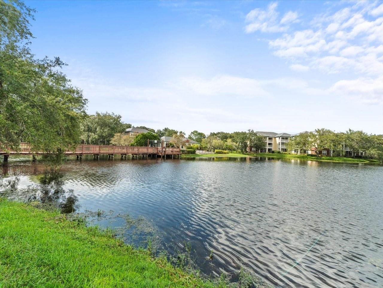 4115 CHATHAM OAK CT #222, TAMPA, FL, 33624