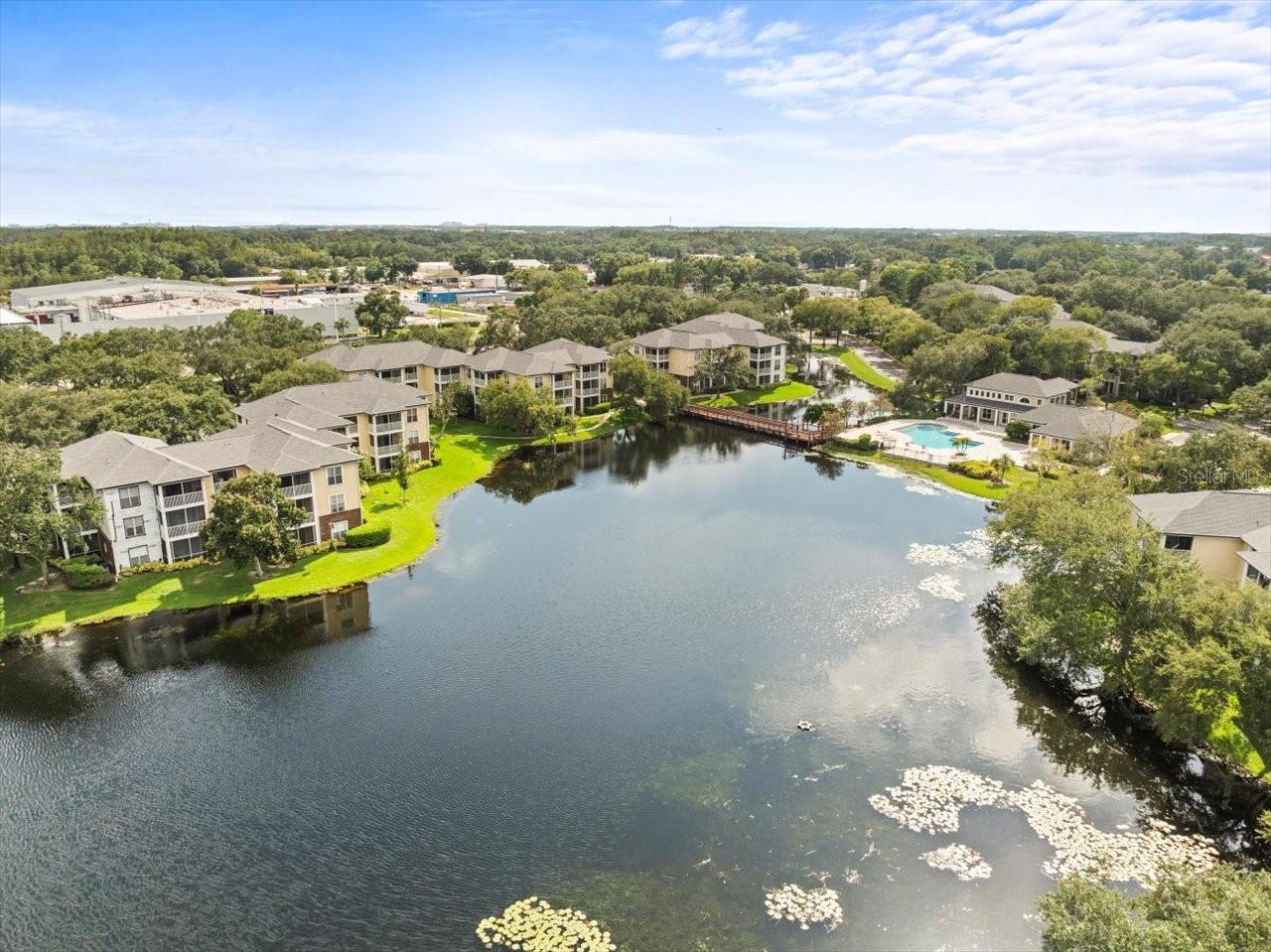 4115 CHATHAM OAK CT #222, TAMPA, FL, 33624
