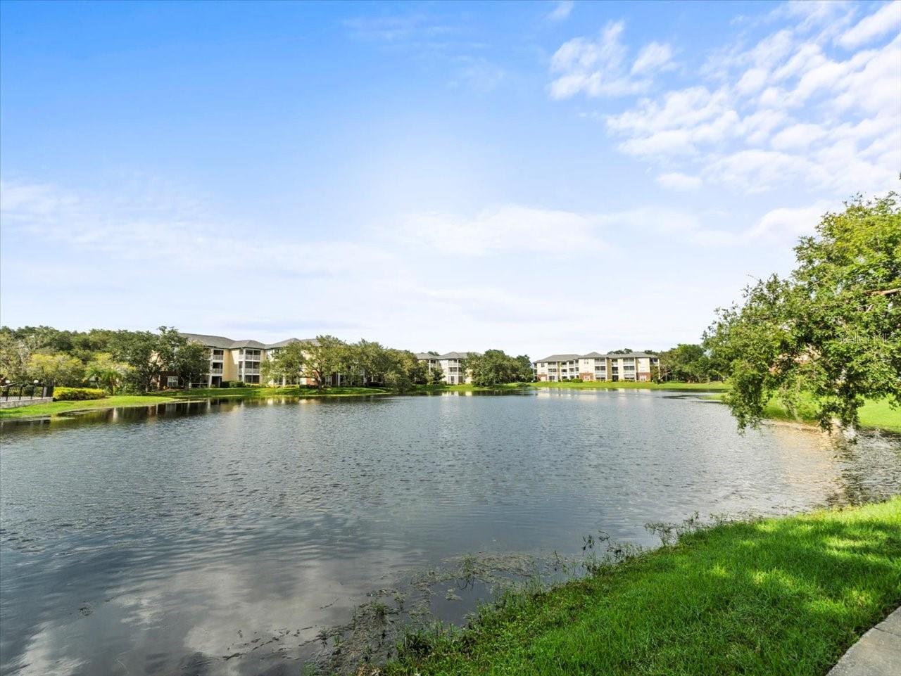 4115 CHATHAM OAK CT #222, TAMPA, FL, 33624