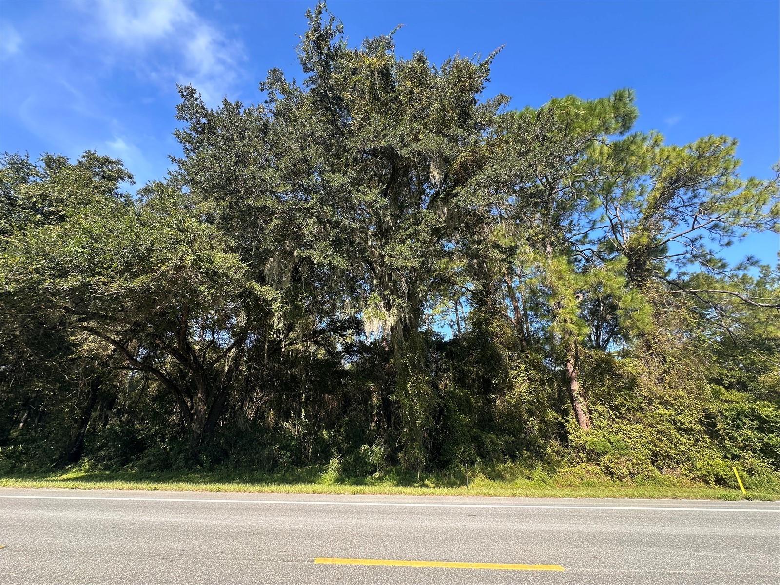 TREIMAN BLVD, WEBSTER, FL, 33597