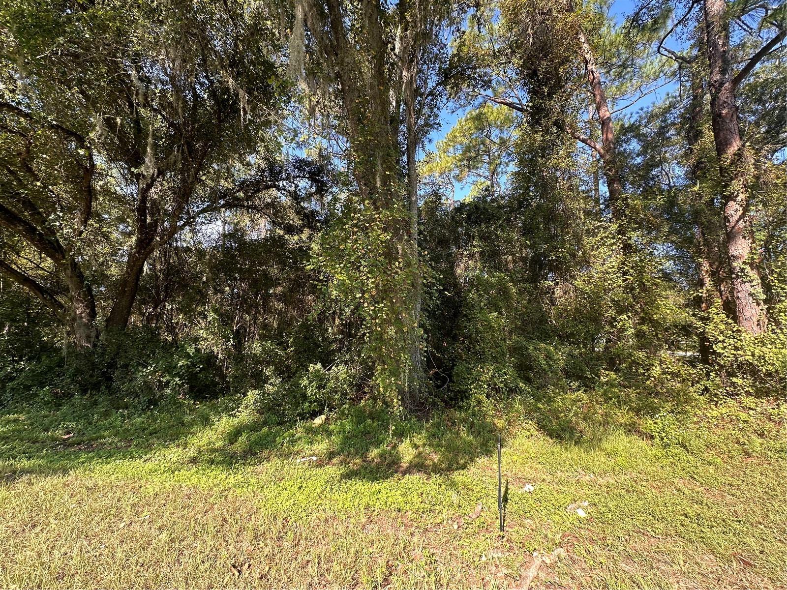 TREIMAN BLVD, WEBSTER, FL, 33597