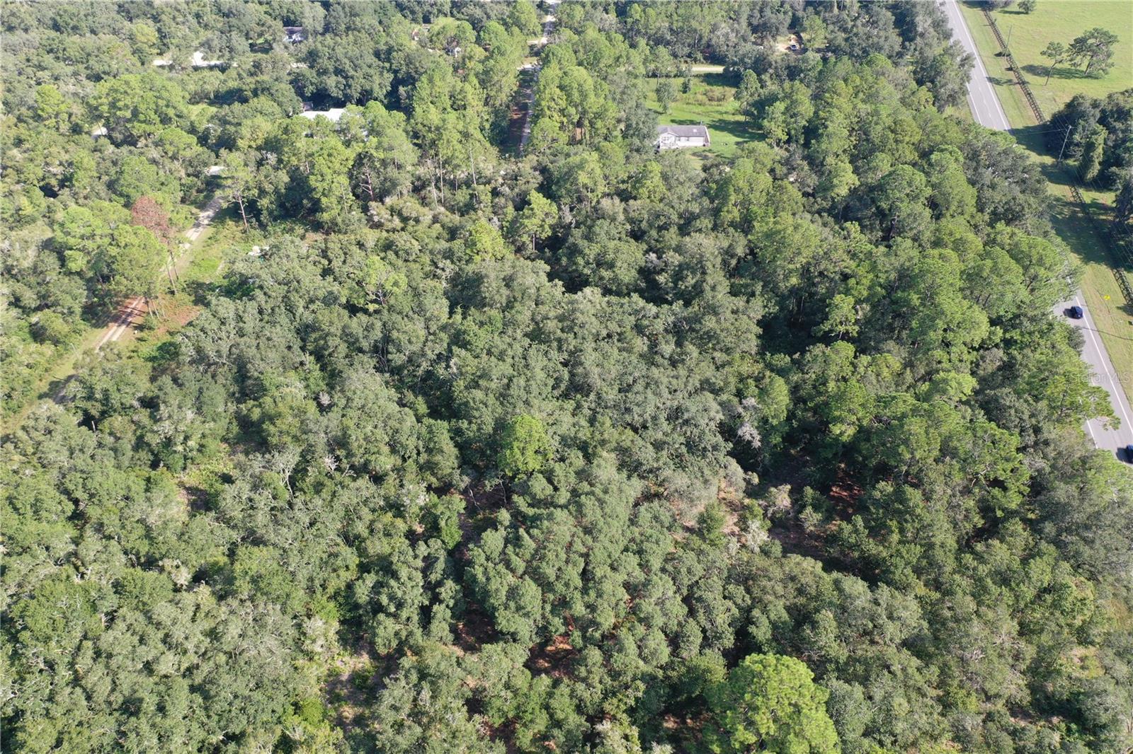 TREIMAN BLVD, WEBSTER, FL, 33597