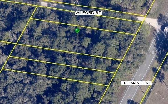 TREIMAN BLVD, WEBSTER, FL, 33597