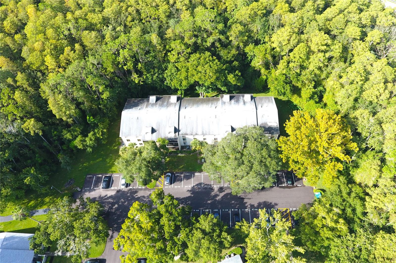 1398 SHADY PINE WAY #H3, TARPON SPRINGS, FL, 34688