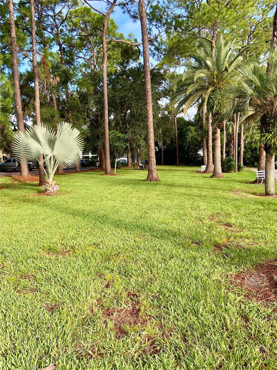 P4931920 Property Photo