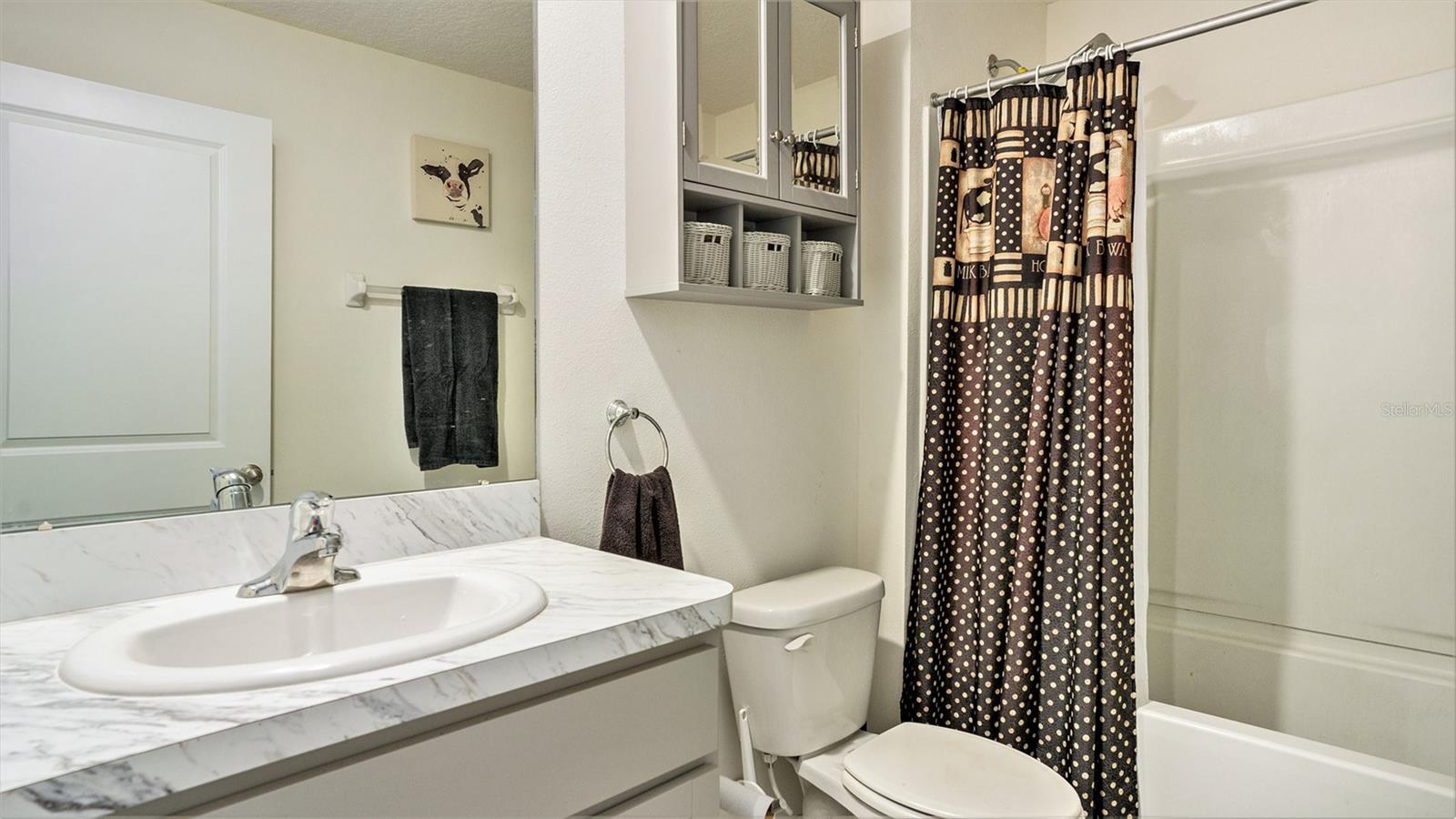 7774 SAIL CLOVER LN, ZEPHYRHILLS, FL, 33540