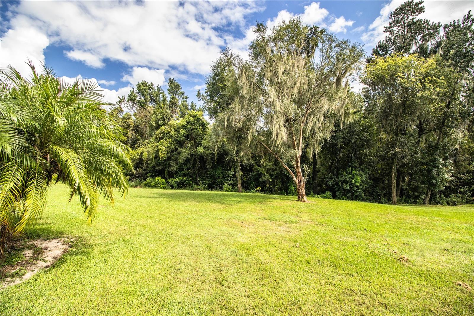 310 WILLOW OAK CT, FORT MEADE, FL, 33841