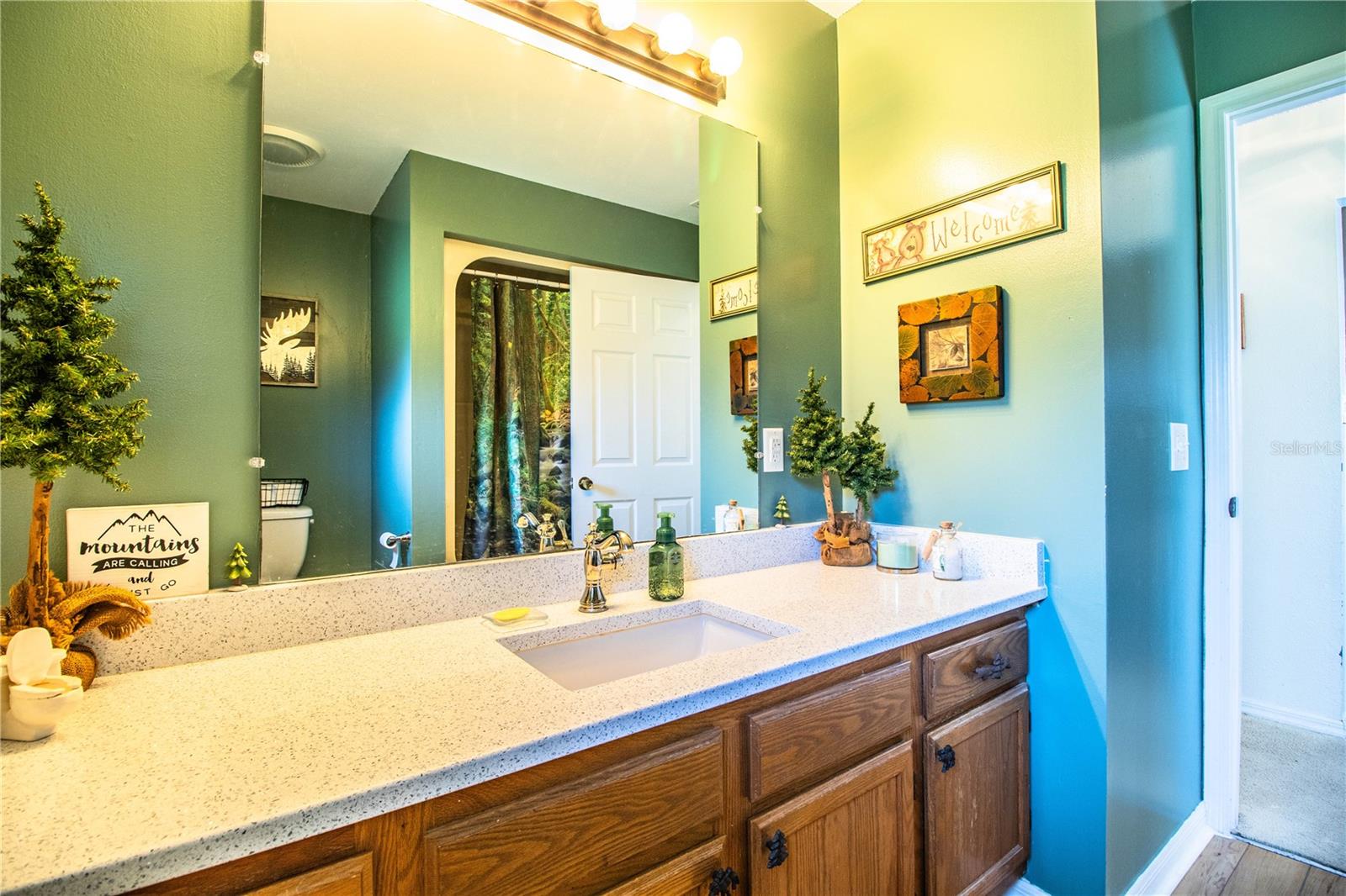 310 WILLOW OAK CT, FORT MEADE, FL, 33841