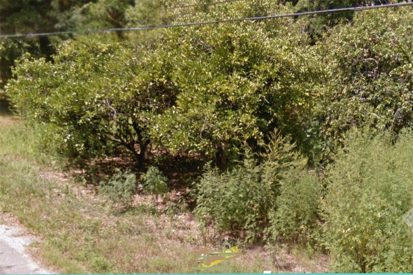 5900 MAGNOLIA ST, MIMS, FL, 32754