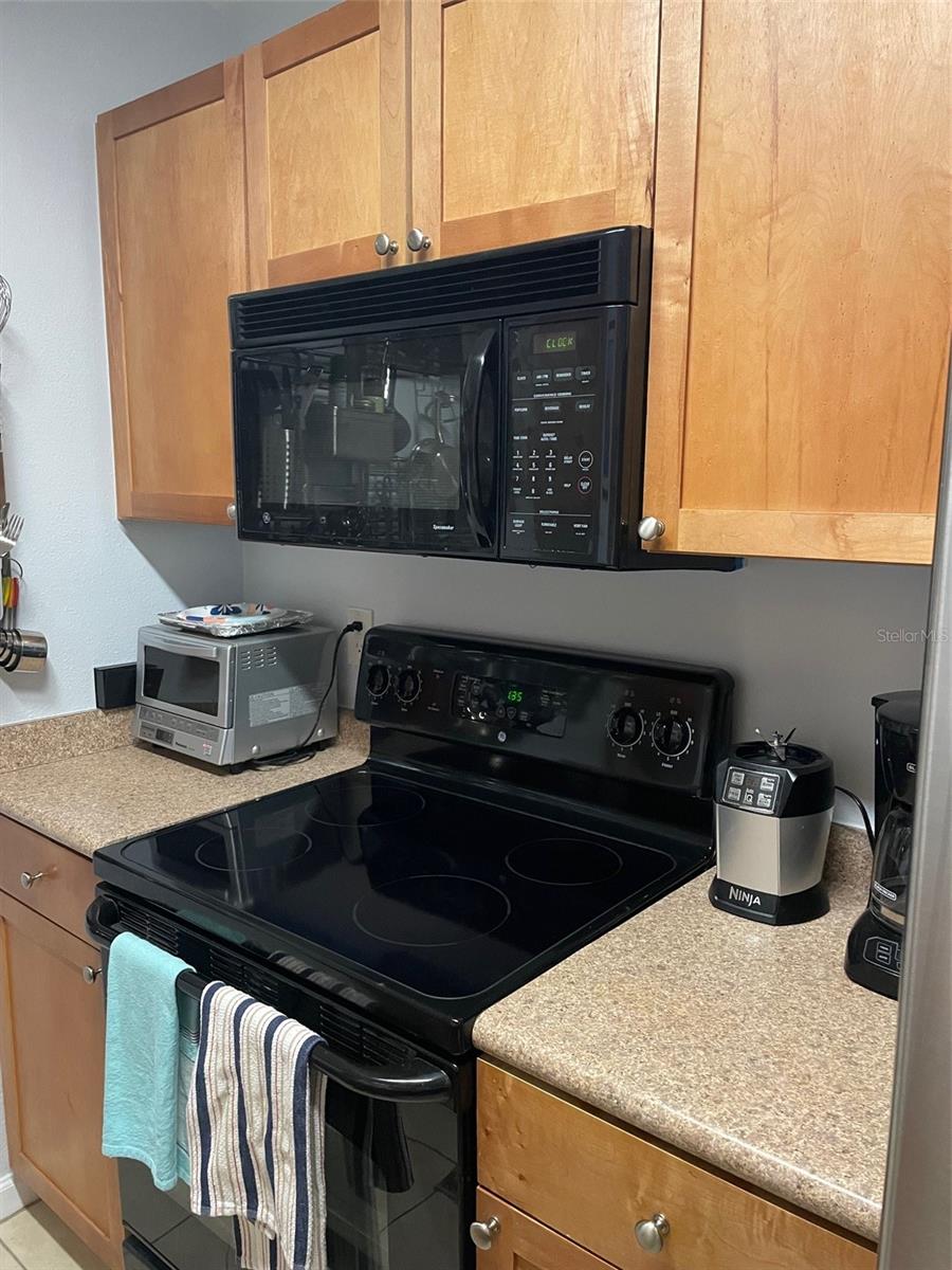 207 SEAHORSE DR SE #D, ST PETERSBURG, FL, 33705