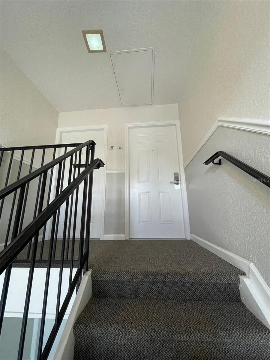 207 SEAHORSE DR SE #D, ST PETERSBURG, FL, 33705
