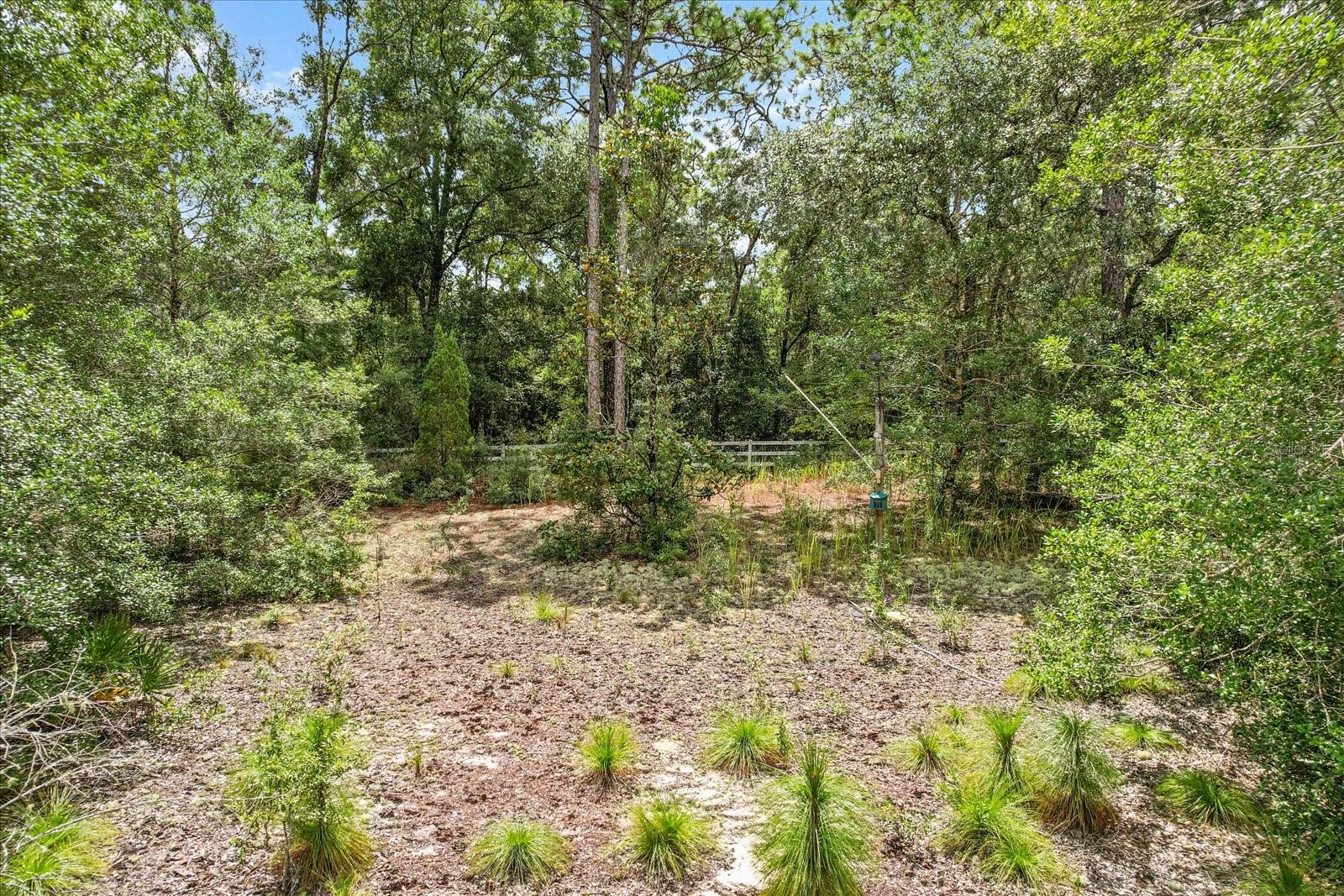 2494 W AXELWOOD DR, BEVERLY HILLS, FL, 34465
