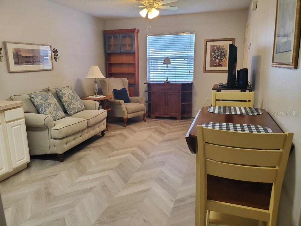 722 COTTAGE PARK LN, LEESBURG, FL, 34748