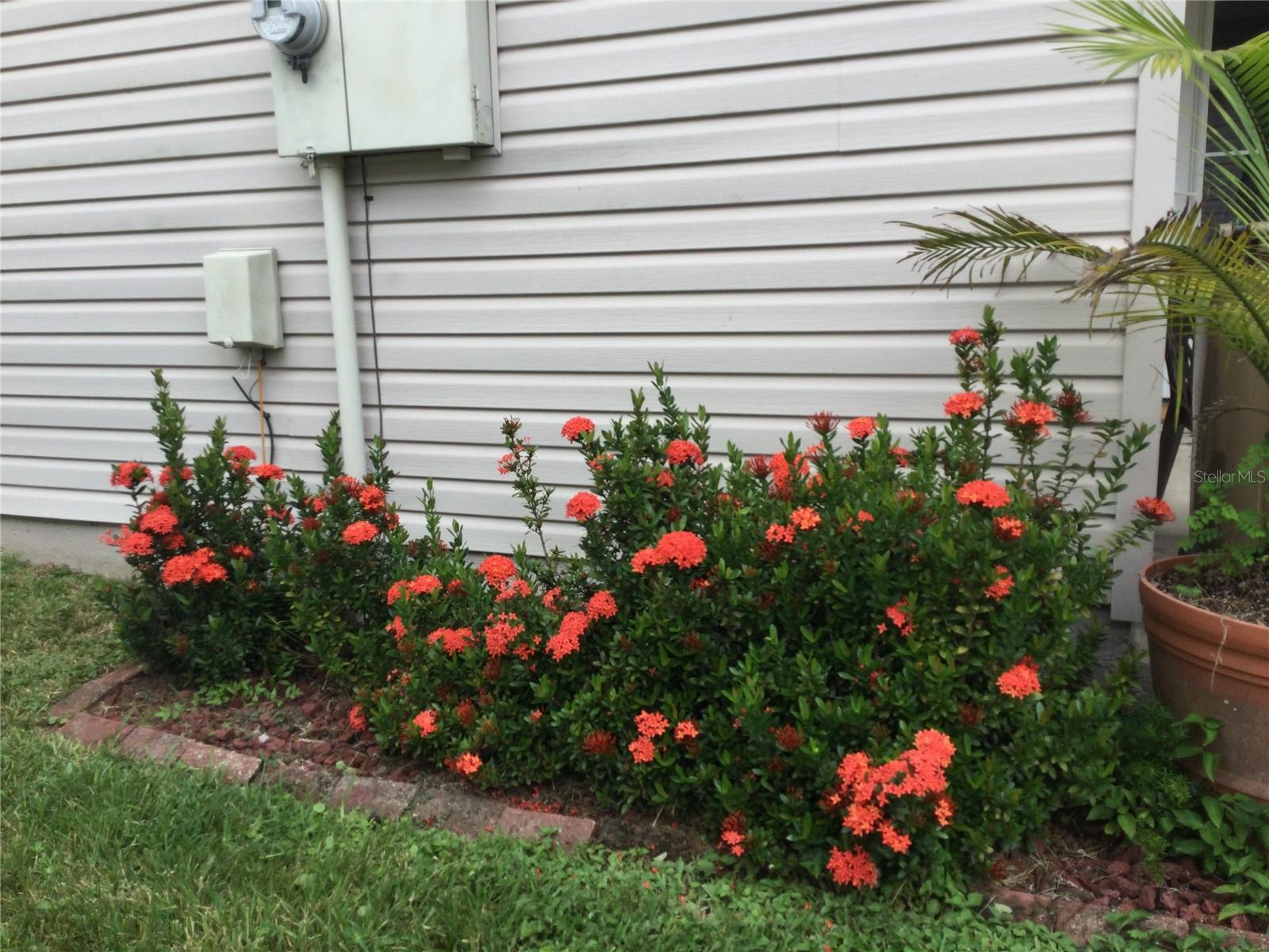 722 COTTAGE PARK LN, LEESBURG, FL, 34748