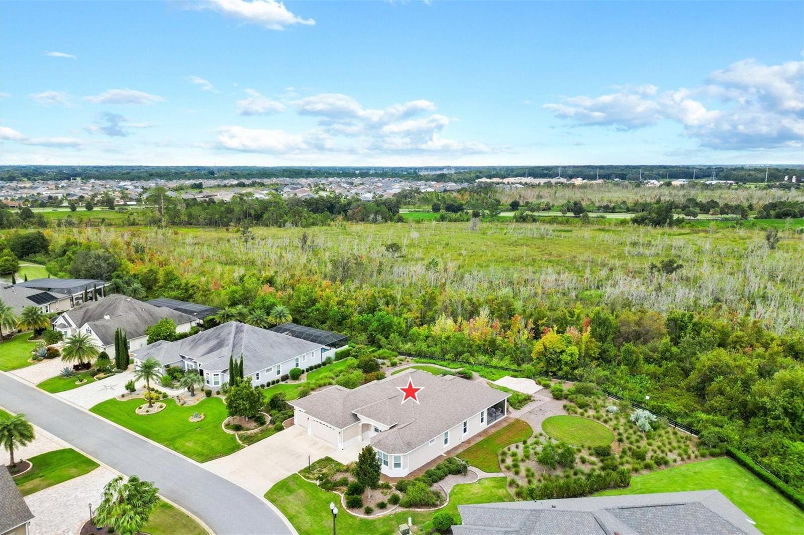 871 IRON OAK WAY, THE VILLAGES, FL, 32163