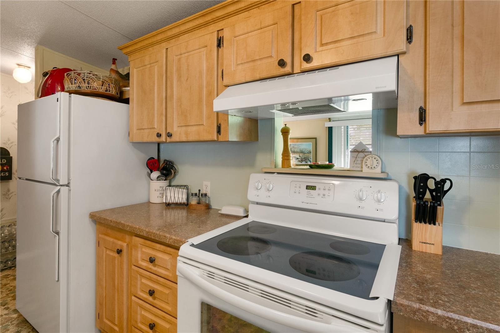 36117 EMERALDA AVE, LEESBURG, FL, 34788