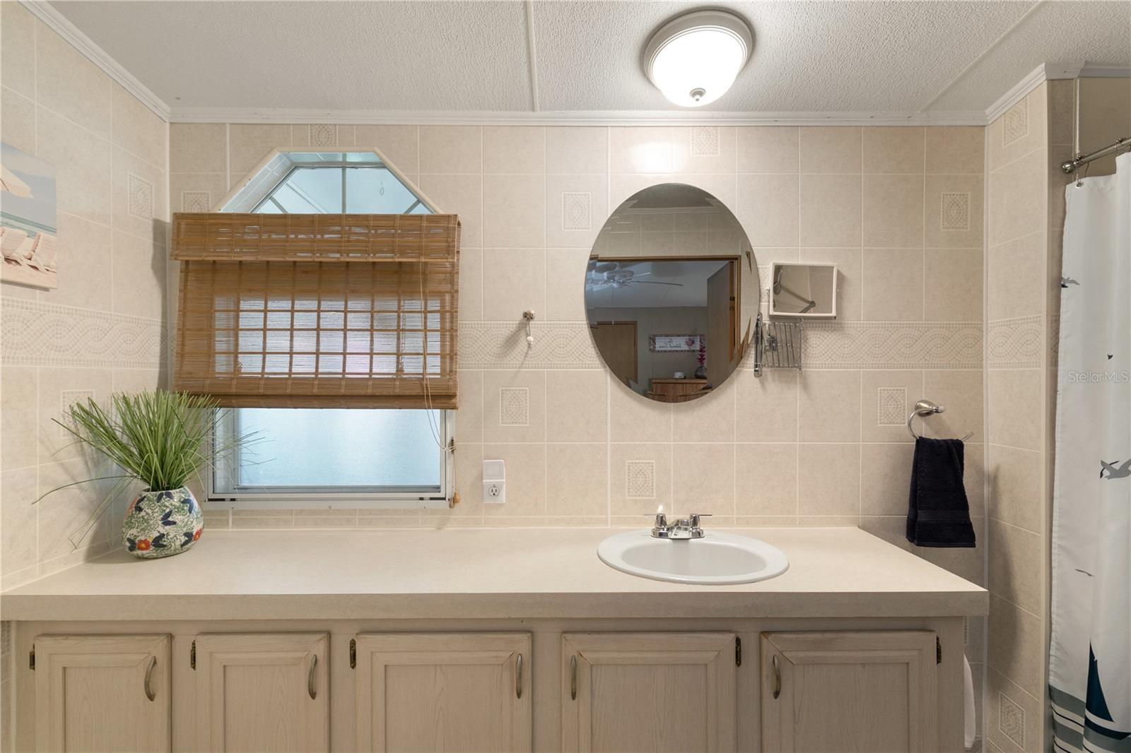 36117 EMERALDA AVE, LEESBURG, FL, 34788