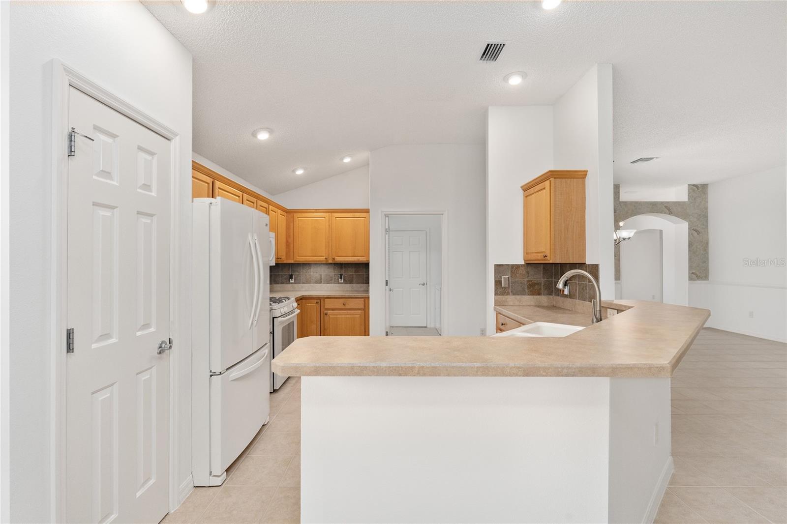 1733 SANDERLING ST, THE VILLAGES, FL, 32162