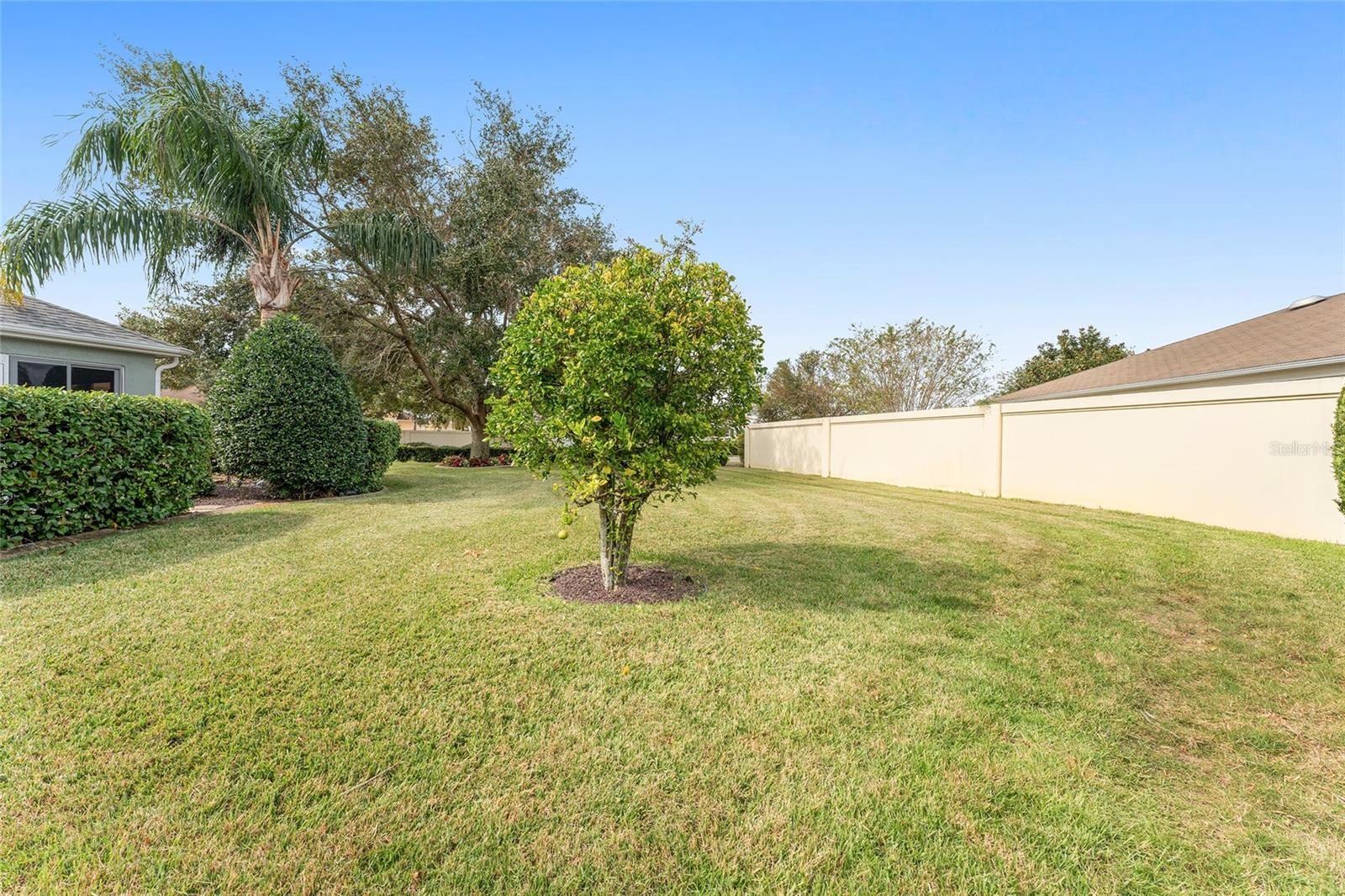 1733 SANDERLING ST, THE VILLAGES, FL, 32162
