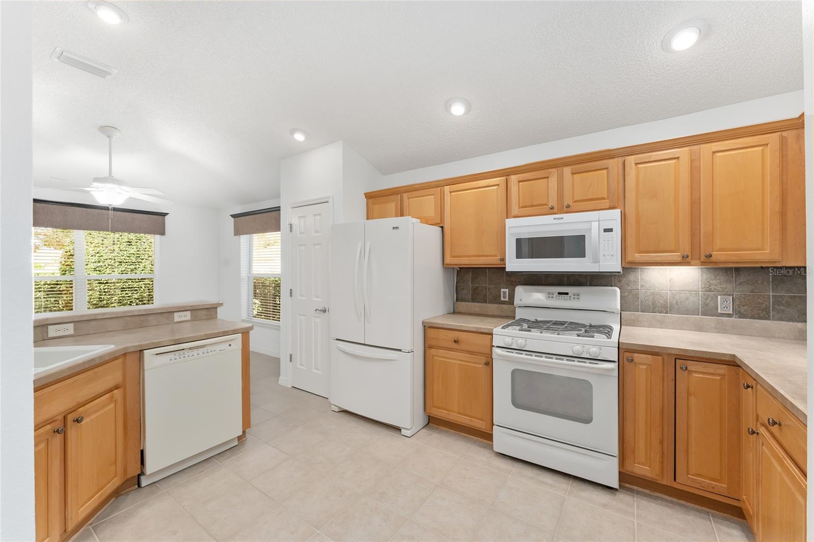 1733 SANDERLING ST, THE VILLAGES, FL, 32162