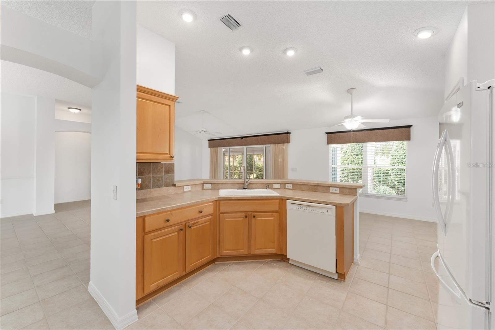 1733 SANDERLING ST, THE VILLAGES, FL, 32162