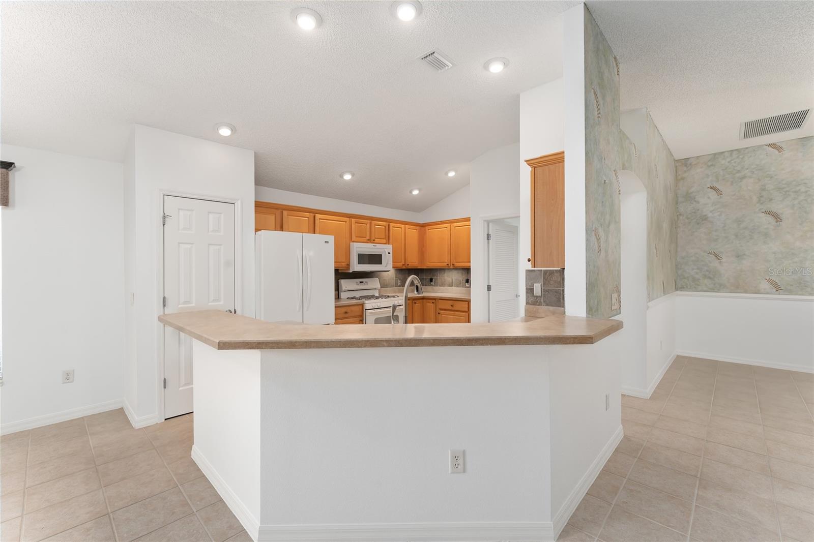 1733 SANDERLING ST, THE VILLAGES, FL, 32162