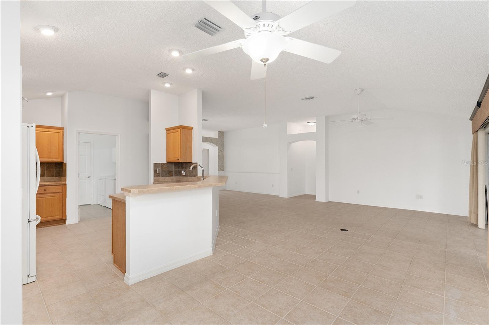 1733 SANDERLING ST, THE VILLAGES, FL, 32162