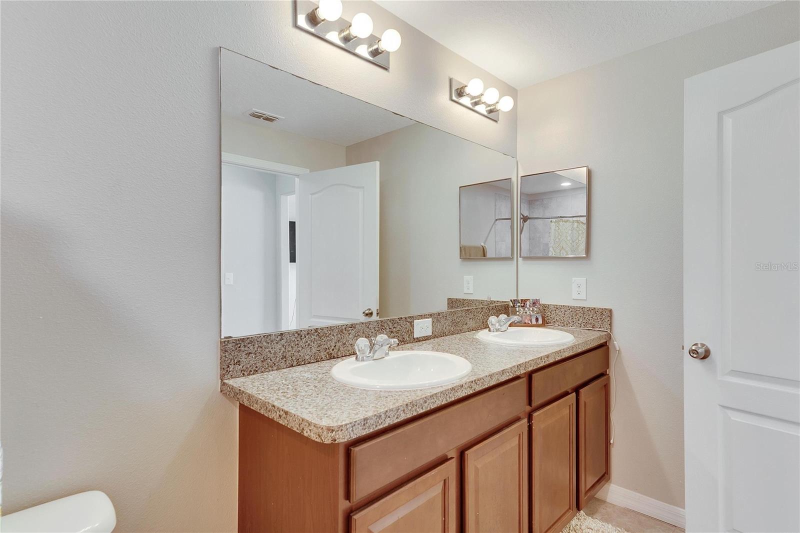 1722 IVORY GOOSE PL, RUSKIN, FL, 33570