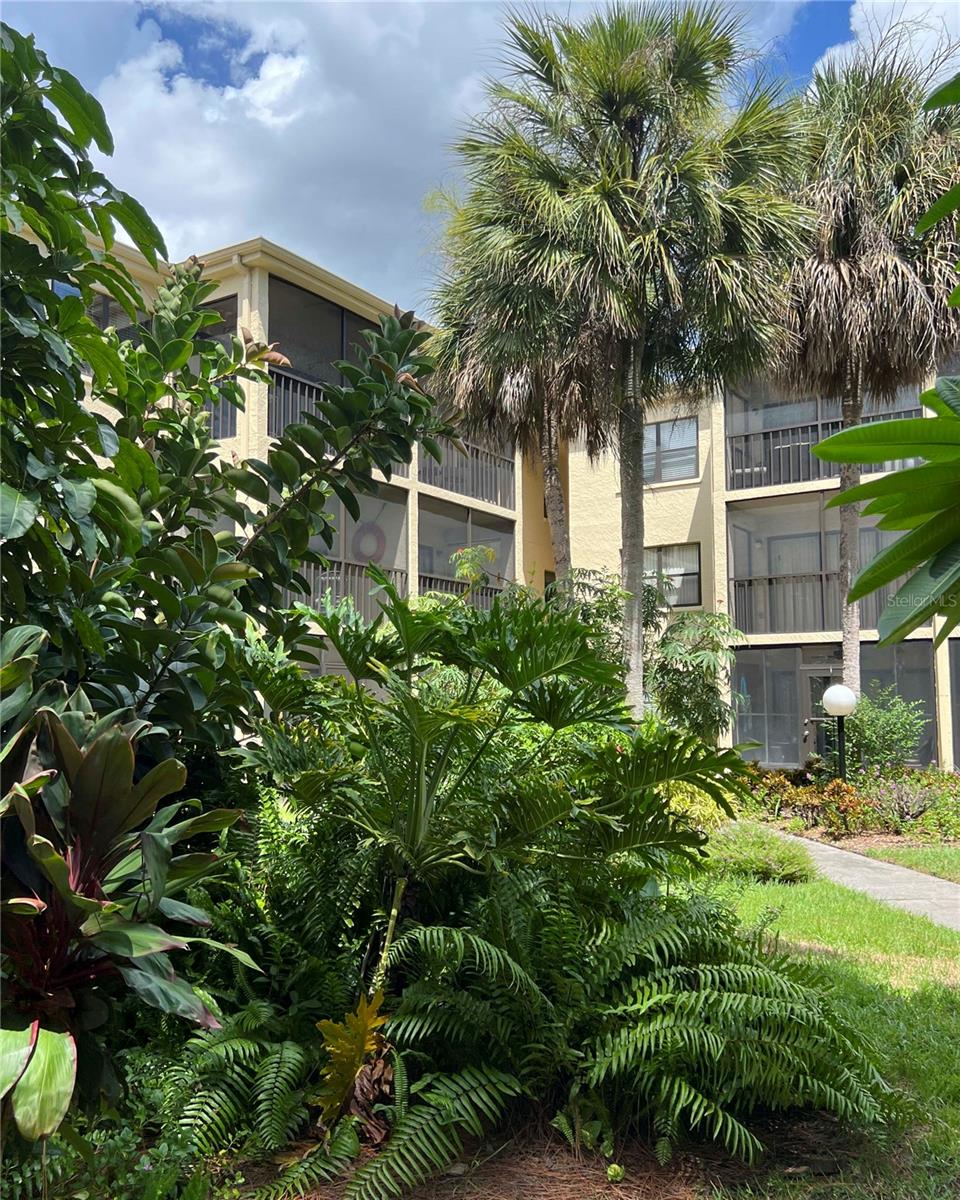 425 30TH AVE W #C208, BRADENTON, FL, 34205