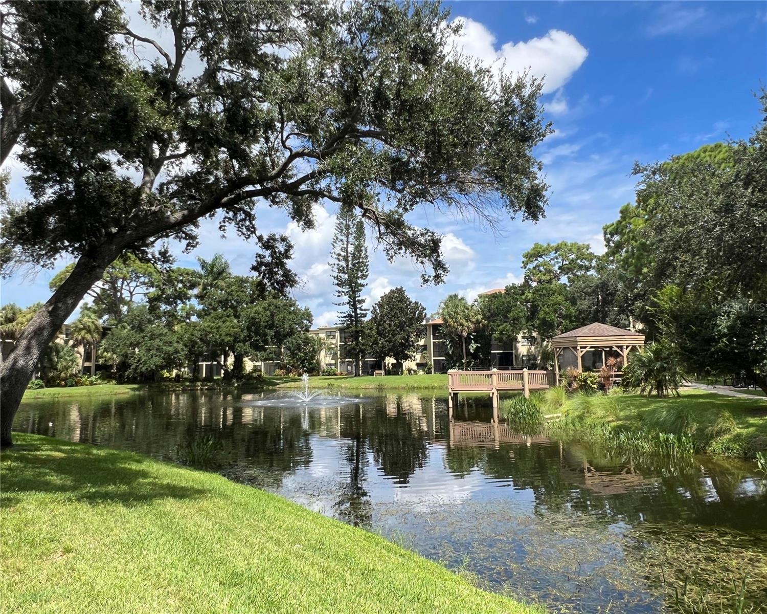 425 30TH AVE W #C208, BRADENTON, FL, 34205