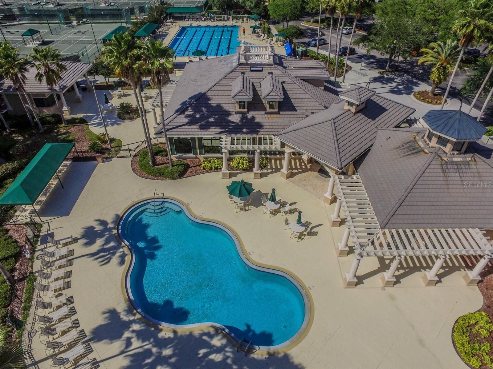 10144 ARBOR RUN DR #125, TAMPA, FL, 33647