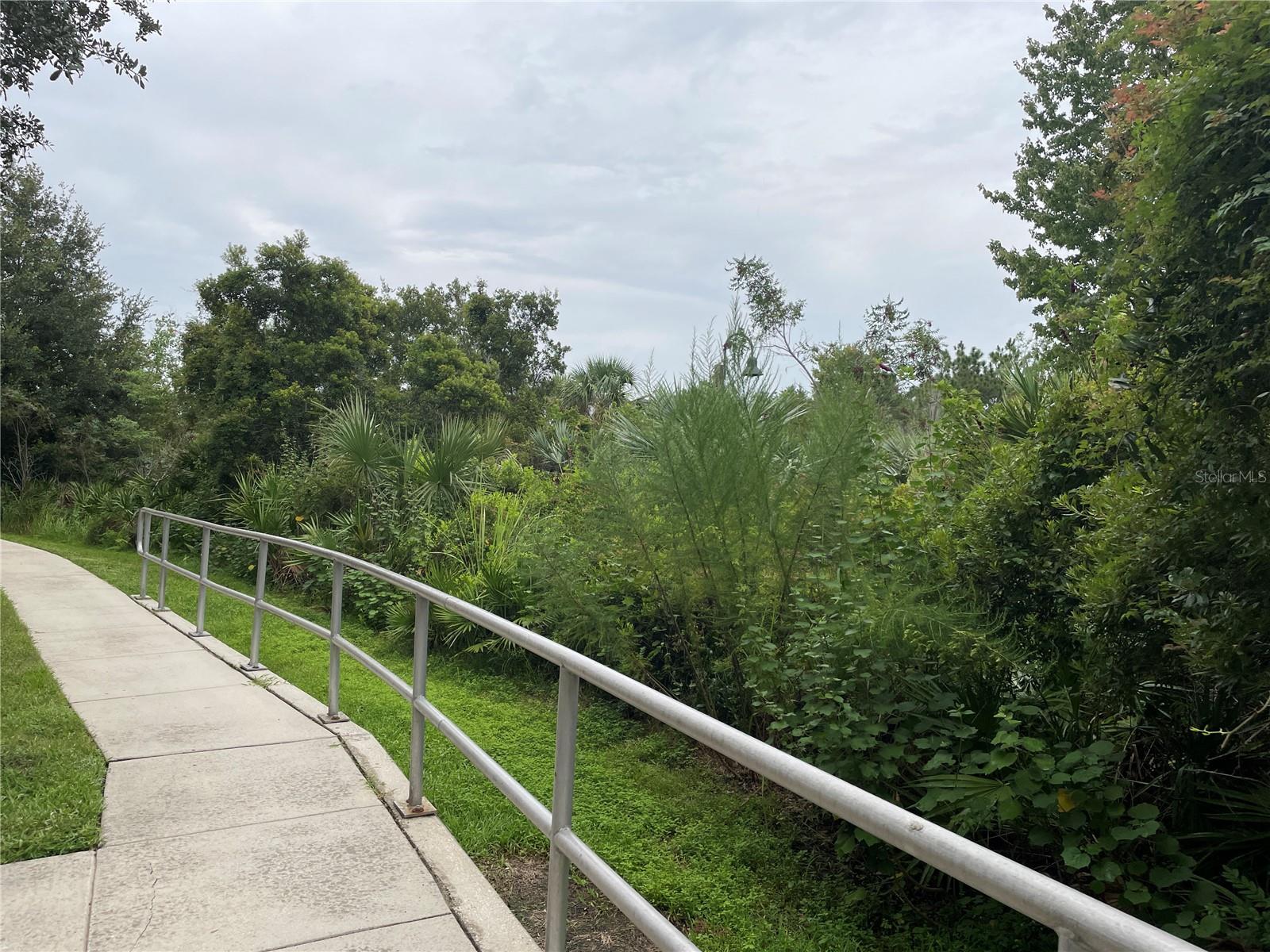 10144 ARBOR RUN DR #125, TAMPA, FL, 33647
