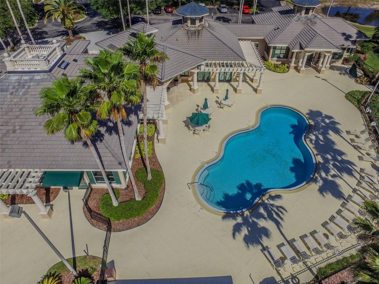 10144 ARBOR RUN DR #125, TAMPA, FL, 33647