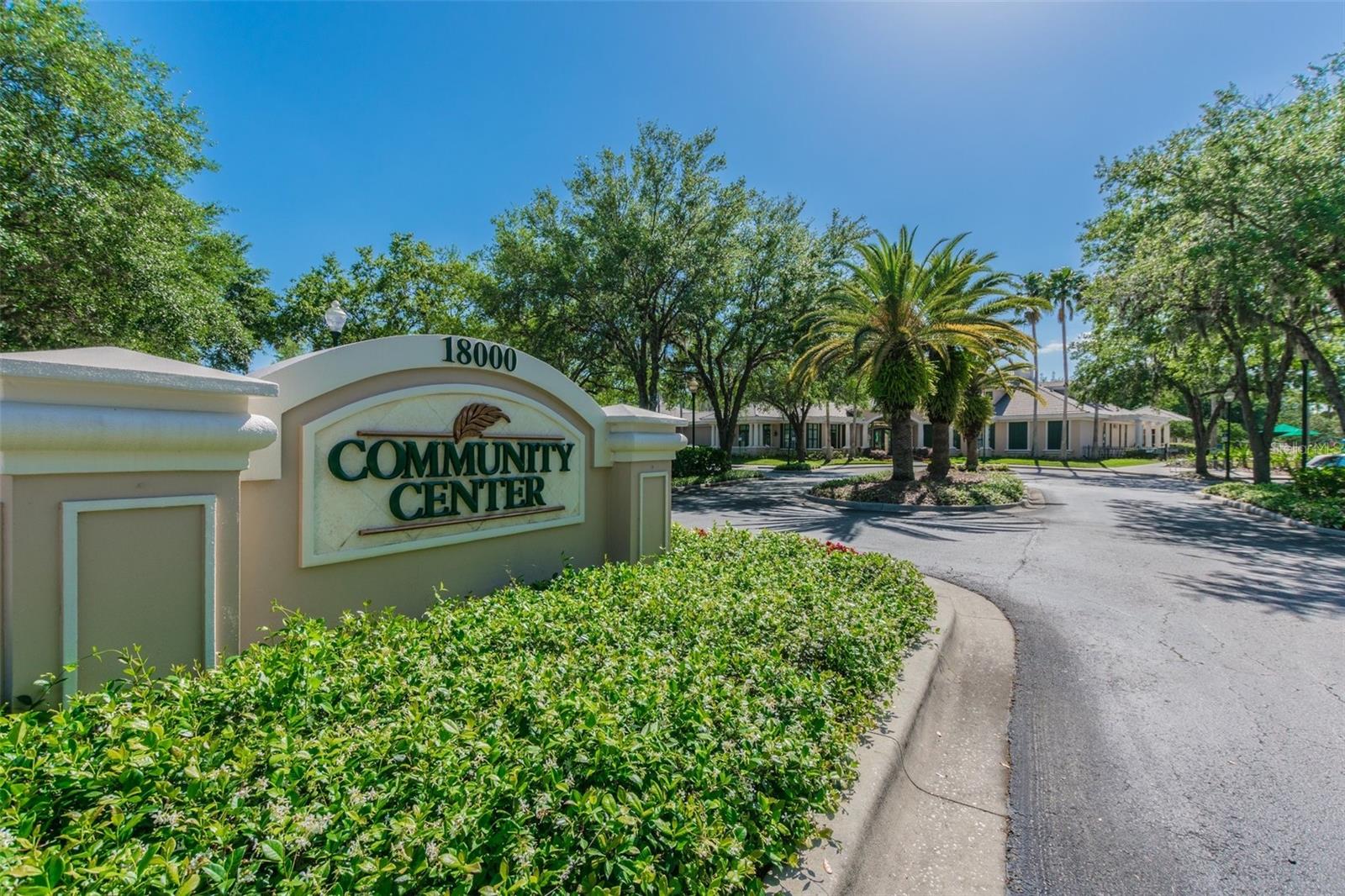 10144 ARBOR RUN DR #125, TAMPA, FL, 33647