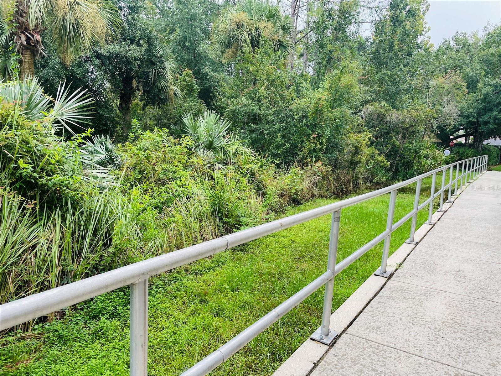10144 ARBOR RUN DR #125, TAMPA, FL, 33647