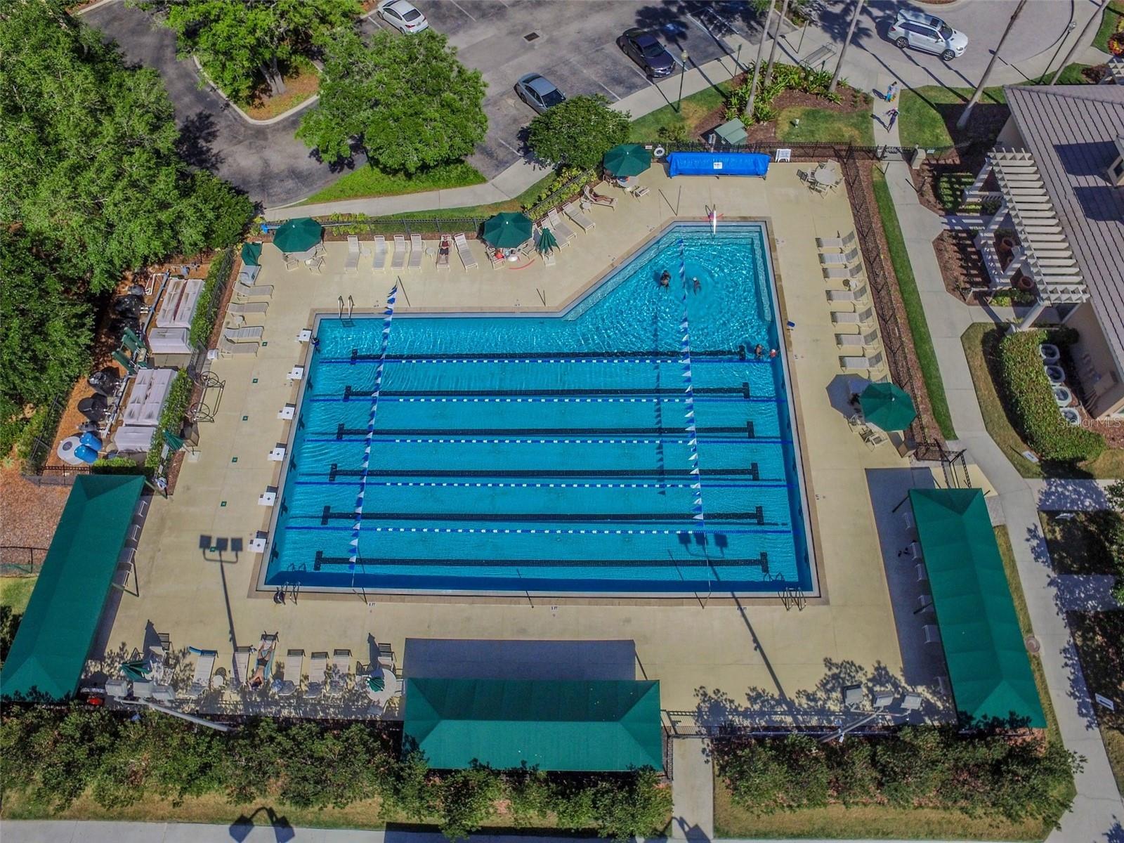 10144 ARBOR RUN DR #125, TAMPA, FL, 33647