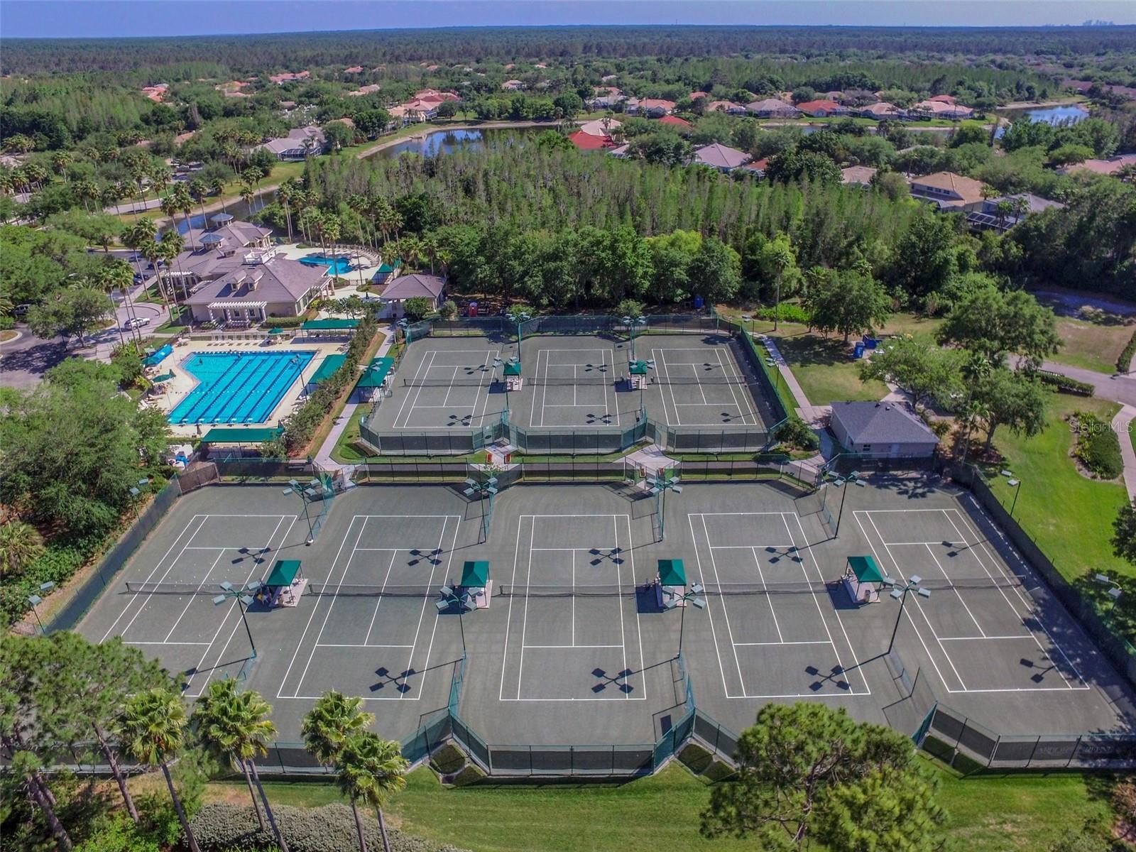 10144 ARBOR RUN DR #125, TAMPA, FL, 33647